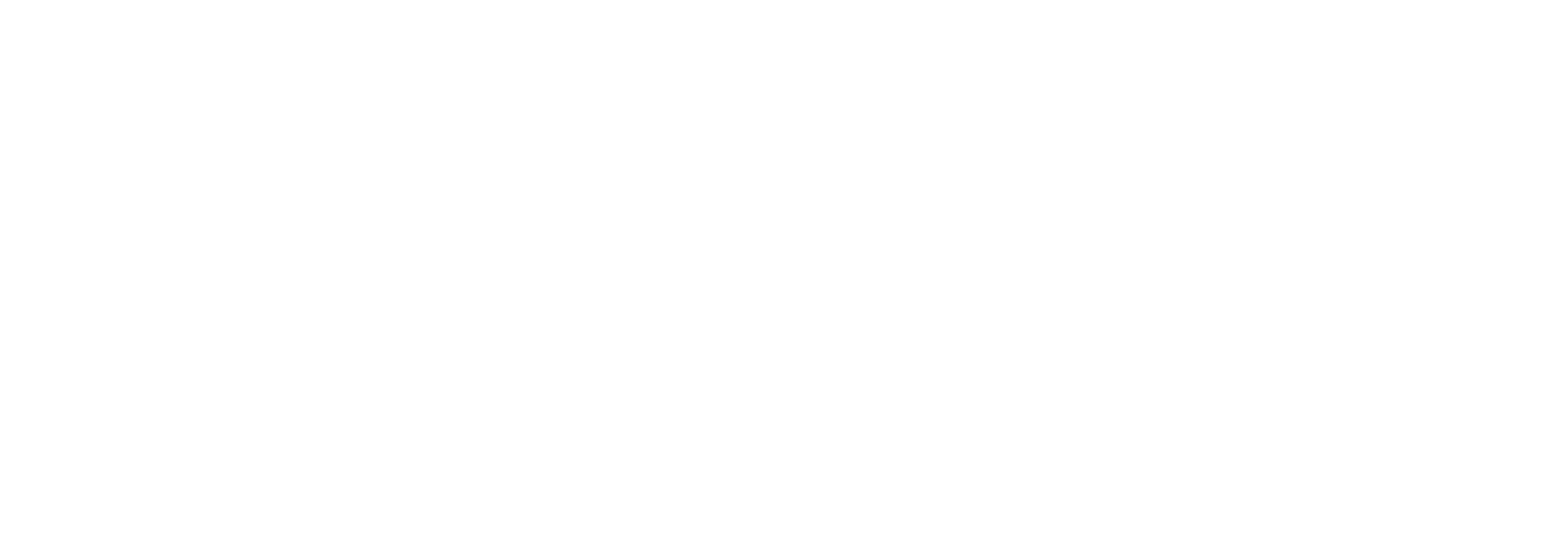 Feasso Brasil